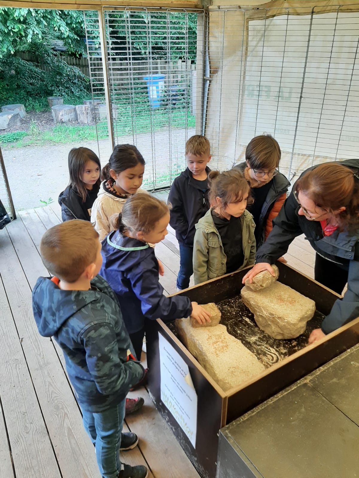 Lire la suite à propos de l’article Ramioul cycle 5-8