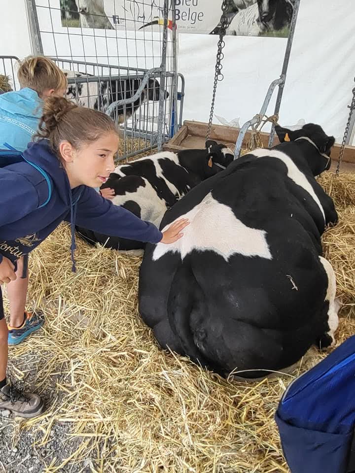 Lire la suite à propos de l’article Foire Agricole de Battice